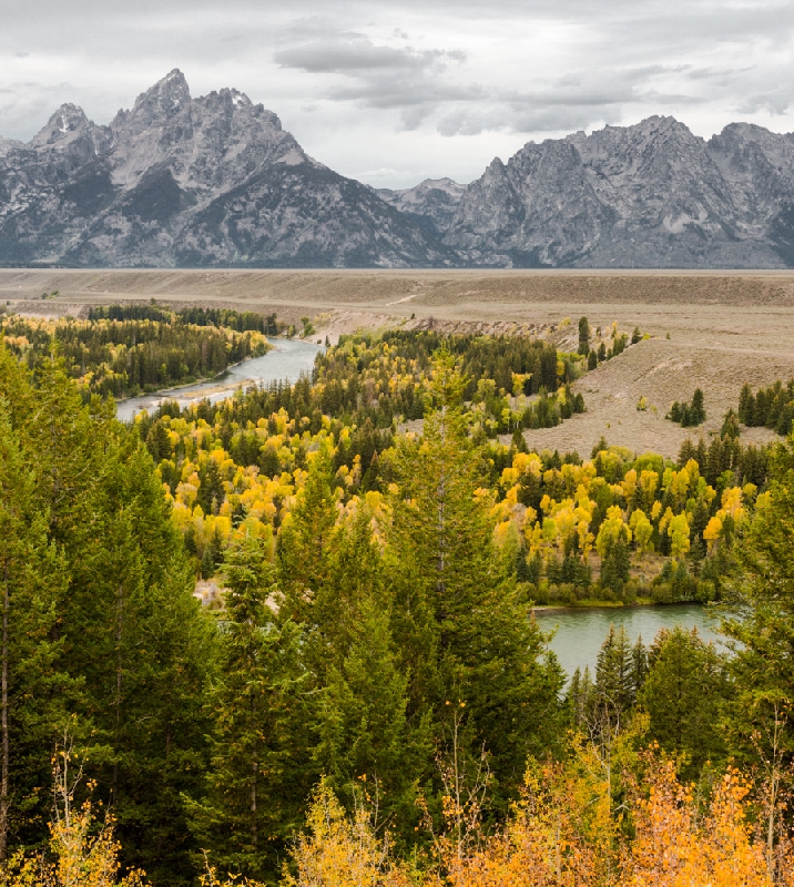 Snake River - Grand Tetons_YST0427.jpg